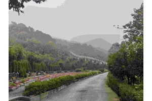 重庆市殡仪悼念、火化