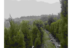 一条龙殡葬服务